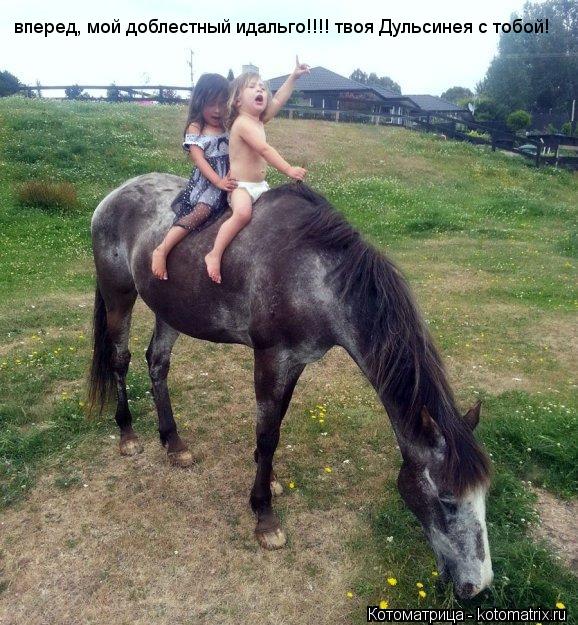 Котоматрица: вперед, мой доблестный идальго!!!! твоя Дульсинея с тобой!