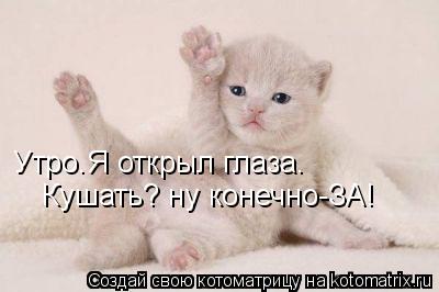 Котоматрица: Утро.Я открыл глаза. Кушать? ну конечно-ЗА!