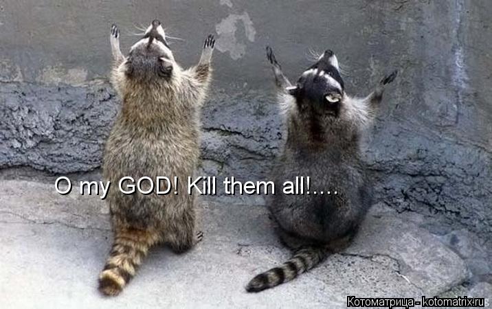 Котоматрица: O my GOD! Kill them all!....