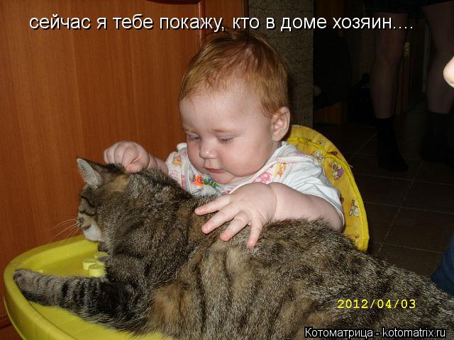 Котоматрица: сейчас я тебе покажу, кто в доме хозяин....