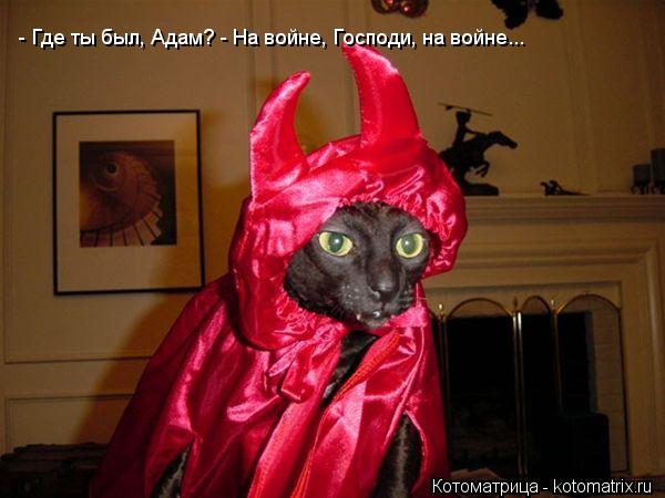 Котоматрица: - Где ты был, Адам? - На войне, Господи, на войне...
