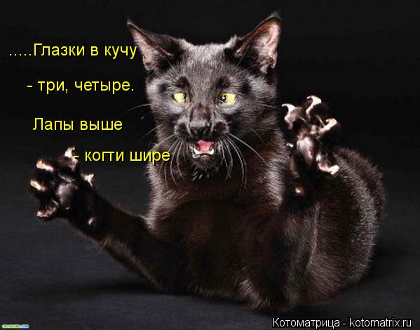 .....Глазки в кучу - три, четыре. Лапы выше - когти шире... Котоматрица: .....Глазки в кучу - три, четыре. Лапы выше - когти шире