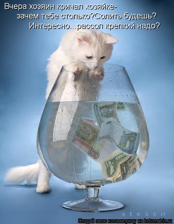 Котоматрица: Вчера хозяин кричал хозяйке- зачем тебе столько?Солить будешь? Интересно...рассол крепкий надо?