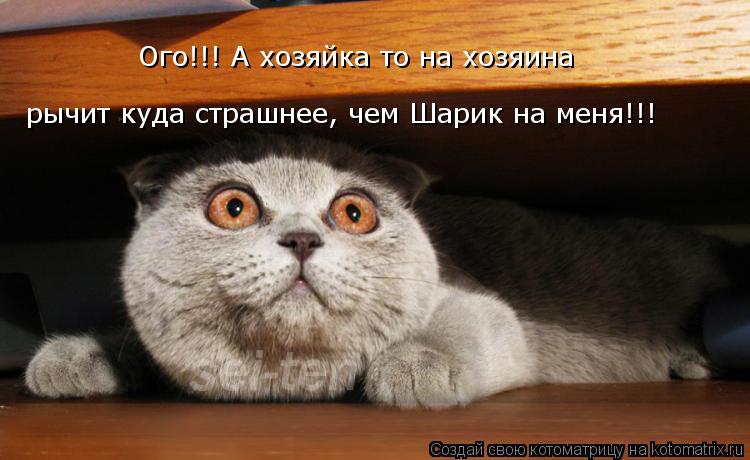 Котоматрица: рычит куда страшнее, чем Шарик на меня!!! Ого!!! А хозяйка то на хозяина