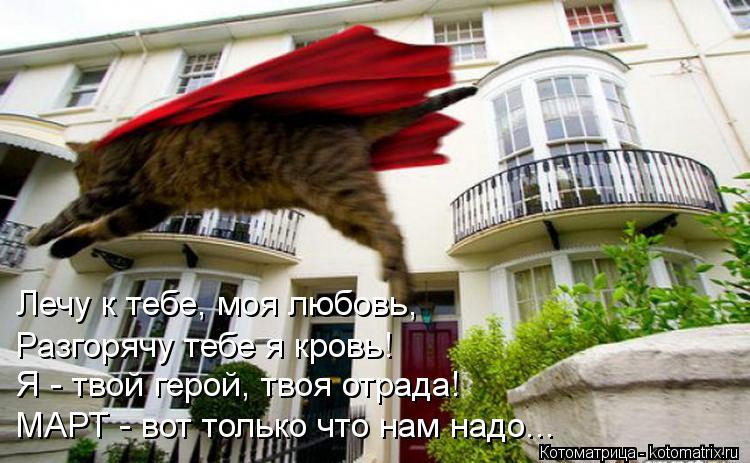Лечу к тебе, моя любовь, Разгорячу тебе я кровь! Я - твой герой, твоя отрада! МАРТ - вот только что н... Котоматрица: Лечу к тебе, моя любовь, Разгорячу тебе я кровь! Я - твой герой, твоя отрада! МАРТ - вот только что нам надо...