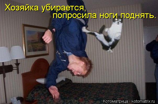 Котоматрица: Хозяйка убирается, попросила ноги поднять.