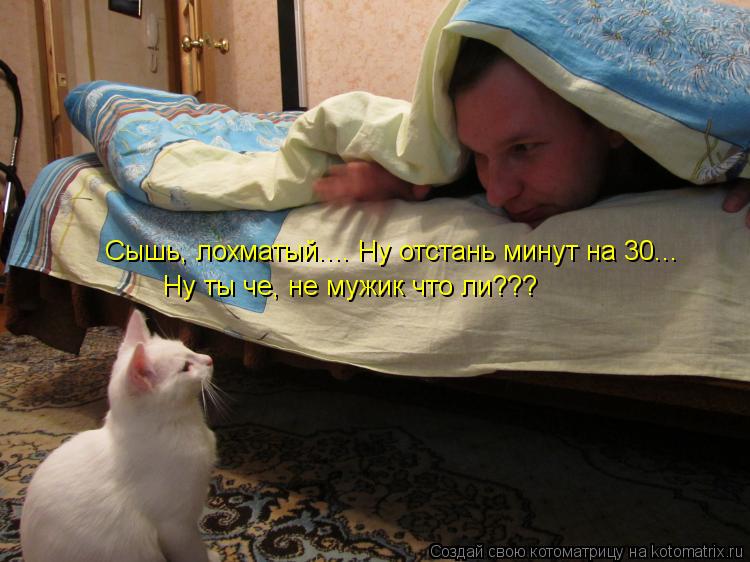 kotomatritsa_m.jpg