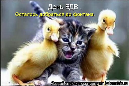 Котоматрица: День ВДВ . Осталось добраться до фонтана.