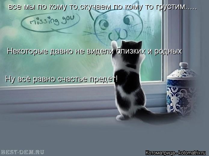 все мы по кому то,скучаем по кому то грустим..... Некоторые давно не видели близких и родных Ну всё р... Котоматрица: все мы по кому то,скучаем по кому то грустим..... Некоторые давно не видели близких и родных Ну всё равно счастье предёт!
