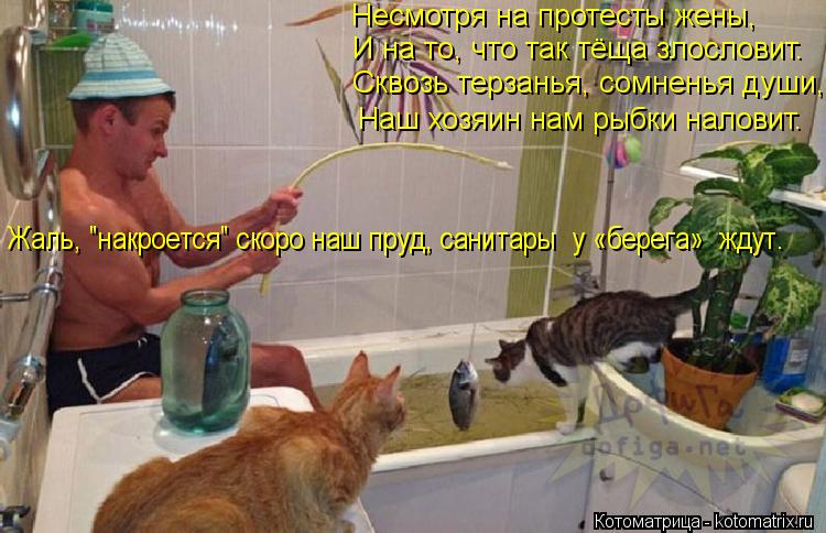 Котоматрица: Несмотря на протесты жены, И на то, что так тёща злословит. Сквозь терзанья, сомненья души, Наш хозяин нам рыбки наловит. Жаль, "накроется" ско