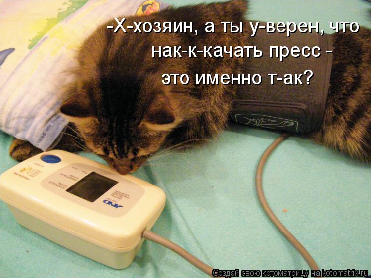 Котоматрица: -Х-хозяин, а ты у-верен, что  нак-к-качать пресс -  это именно т-ак?
