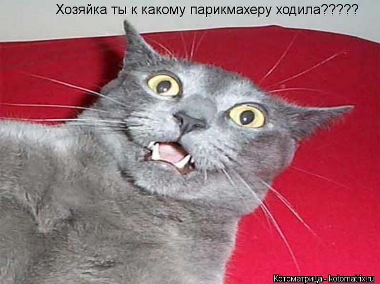 Модные причёски хвосты Модные причёски хвосты