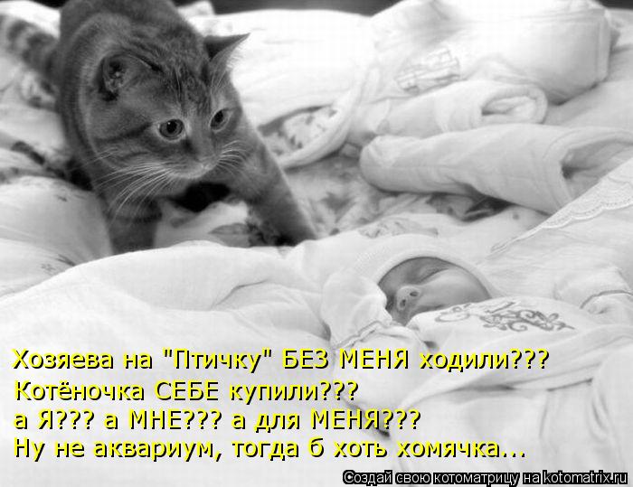 Котёночка СЕБЕ купили??? а Я??? а МНЕ??? а для МЕНЯ??? Ну не аквариум, тогда б хоть хомячка... Хозяев... Котоматрица: Котёночка СЕБЕ купили??? а Я??? а МНЕ??? а для МЕНЯ??? Ну не аквариум, тогда б хоть хомячка... Хозяева на "Птичку" БЕЗ МЕНЯ ходили???