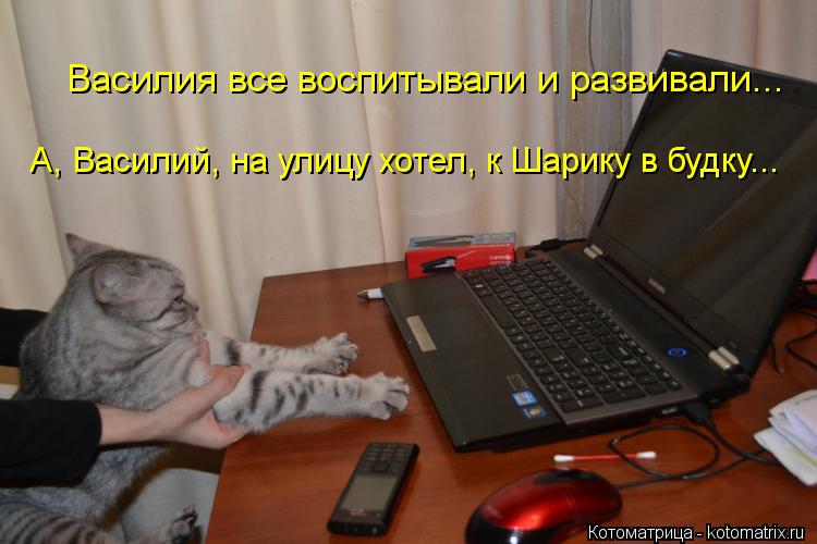 Василия все воспитывали и развивали... А, Василий, на улицу хотел, к Шарику в будку...... Котоматрица: Василия все воспитывали и развивали... А, Василий, на улицу хотел, к Шарику в будку...