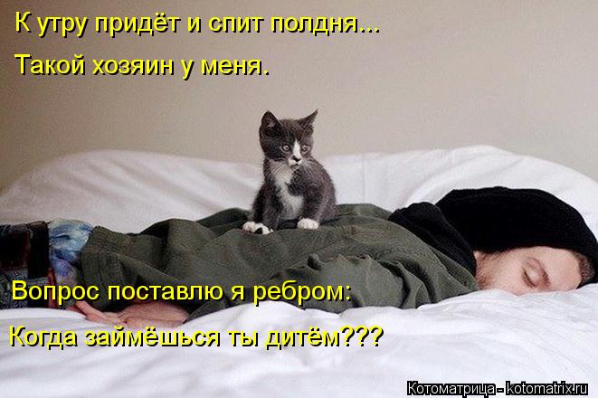 Котоматрица: К утру придёт и спит полдня... Такой хозяин у меня. Когда займёшься ты дитём??? Вопрос поставлю я ребром: