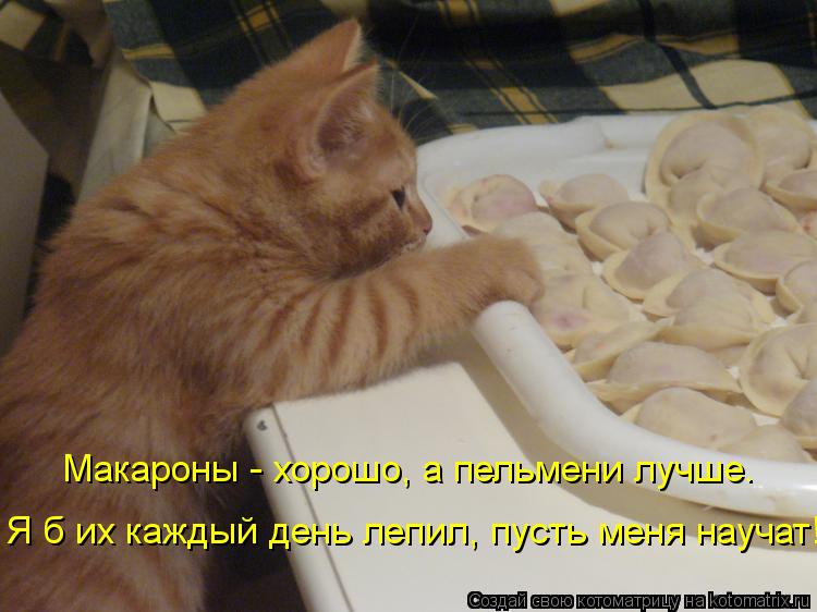 Макароны - хорошо, а пельмени лучше. Я б их каждый день лепил, пусть меня научат!... Котоматрица: Макароны - хорошо, а пельмени лучше. Я б их каждый день лепил, пусть меня научат!