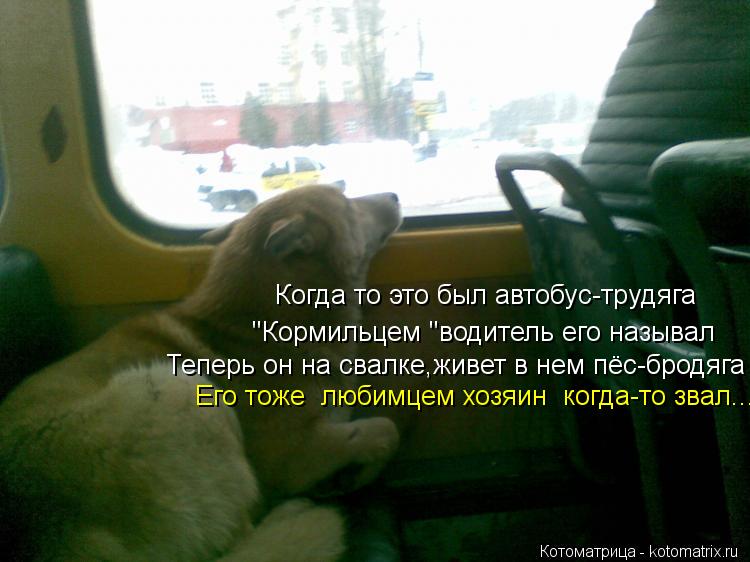 Котоматрица: Когда то это был автобус-трудяга "Кормильцем "водитель его называл Теперь он на свалке,живет в нем пёс-бродяга Его тоже  любимцем хозяин  ког