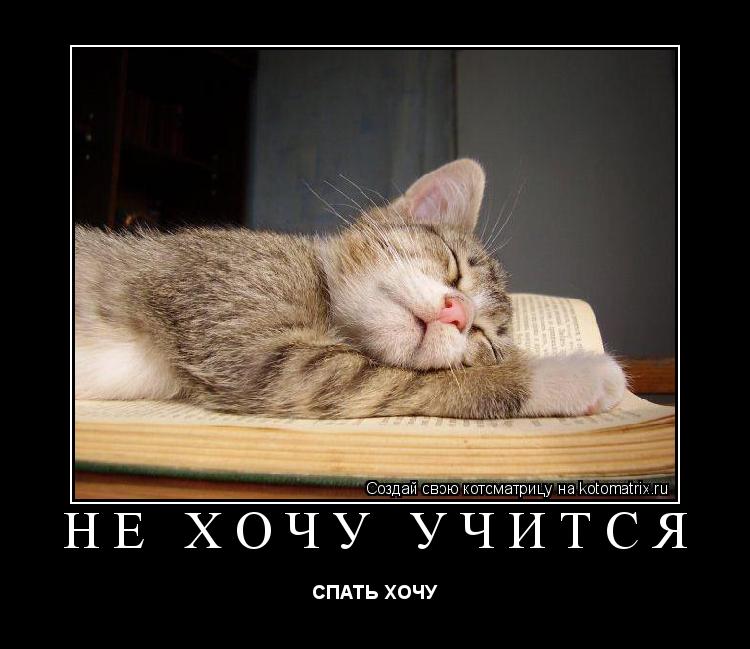 Стих о тех кто спит на работе Стих о тех кто спит на работе