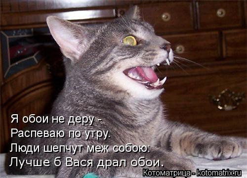 Котоматрица: Я обои не деру -  Распеваю по утру. Люди шепчут меж собою: Лучше б Вася драл обои.