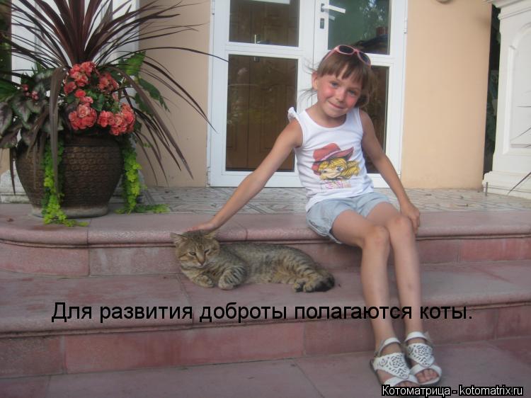 Для развития доброты полагаются коты.... Котоматрица: Для развития доброты полагаются коты.