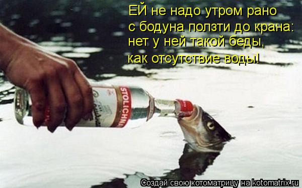 Котоматрица: ЕЙ не надо утром рано с бодуна ползти до крана: нет у ней такой беды, как отсутствие воды!