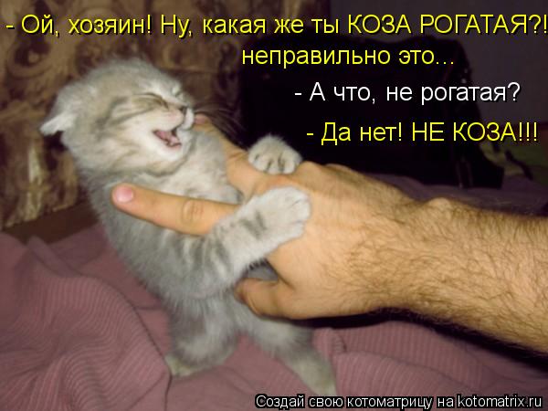 http://kotomatrix.ru/images/lolz/2013/02/05/kotomatritsa_Jn.jpg