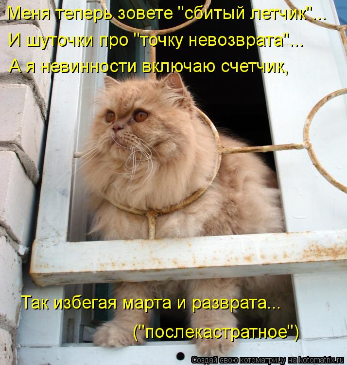 Котоматрица: Меня теперь зовете "сбитый летчик"... И шуточки про "точку невозврата"... А я невинности включаю счетчик,  Так избегая марта и разврата... ("после