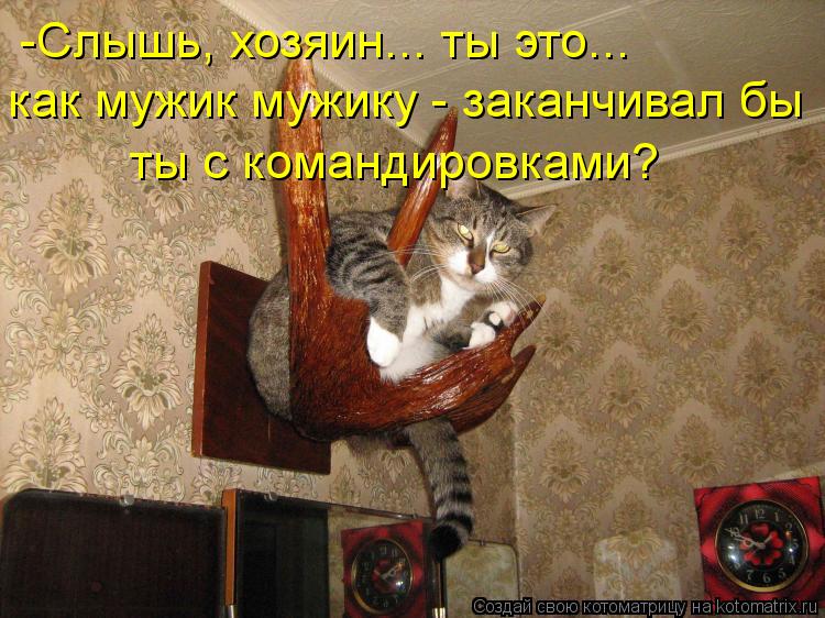 -Слышь, хозяин... ты это... как мужик мужику - заканчивал бы ты с командировками?... Котоматрица: -Слышь, хозяин... ты это... как мужик мужику - заканчивал бы ты с командировками?