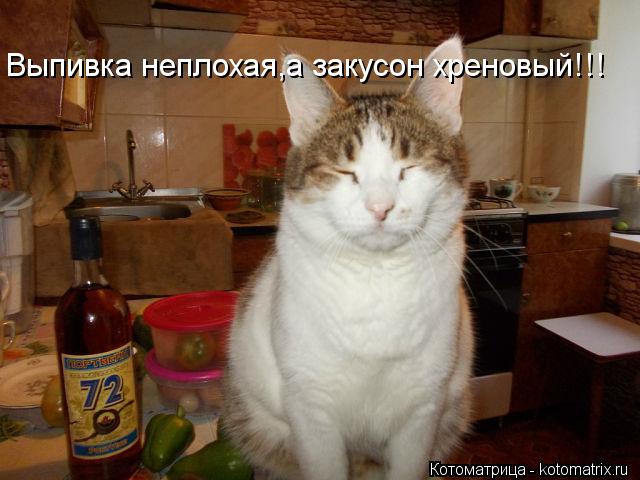 Котоматрица: Выпивка неплохая,а закусон хреновый!!!