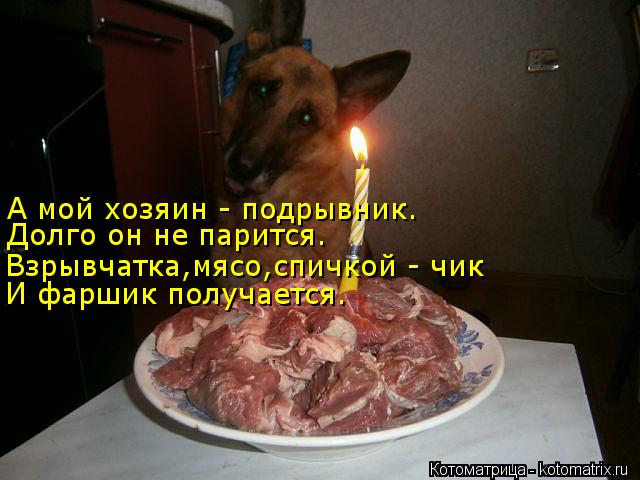 А мой хозяин - подрывник. Долго он не парится. Взрывчатка,мясо,спичкой - чик И фаршик получается.... Котоматрица: А мой хозяин - подрывник. Долго он не парится. Взрывчатка,мясо,спичкой - чик И фаршик получается.