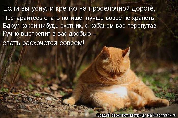 Если вы уснули крепко на проселочной дороге, Постарайтесь спать потише, лучше вовсе не храпеть. Вдруг... Котоматрица: Если вы уснули крепко на проселочной дороге, Постарайтесь спать потише, лучше вовсе не храпеть. Вдруг какой-нибудь охотник, с кабаном вас пе