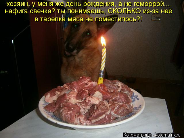 Котоматрица: хозяин, у меня же день рождения, а не геморрой... нафига свечка? ты понимаешь, СКОЛЬКО из-за неё в тарелке мяса не поместилось?!