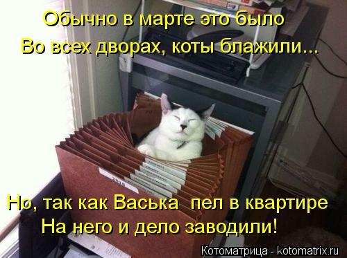 Обычно в марте это было Во всех дворах, коты блажили... Но, так как Васька пел в квартире На него и ... Котоматрица: Обычно в марте это было Во всех дворах, коты блажили... Но, так как Васька пел в квартире На него и дело заводили!