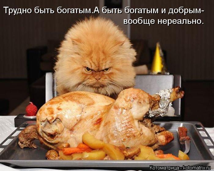 Котоматрица: Трудно быть богатым.А быть богатым и добрым-  вообще нереально.