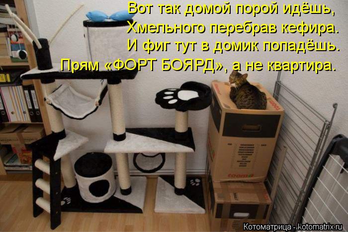 Вот так домой порой идёшь, Хмельного перебрав кефира. И фиг тут в домик попадёшь. Прям «ФОРТ БОЯРД», ... Котоматрица: Вот так домой порой идёшь, Хмельного перебрав кефира. И фиг тут в домик попадёшь. Прям «ФОРТ БОЯРД», а не квартира.