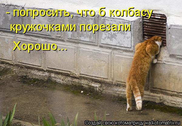 кружочками порезали Хорошо... - попросить, что б колбасу... Котоматрица: кружочками порезали Хорошо... - попросить, что б колбасу