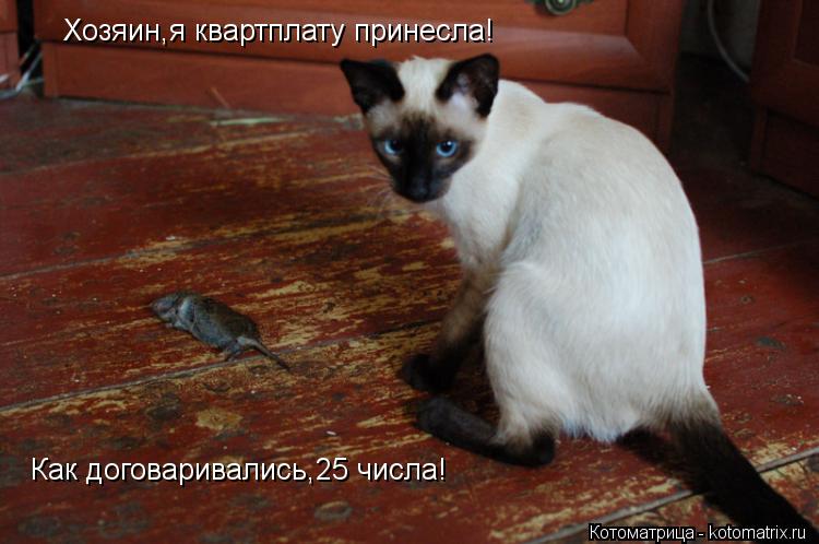 Кто приносит квартплату однако, между