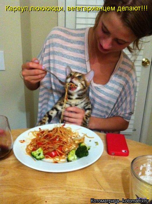 Караул,лююююди, вегетарианцем делают!!!... Котоматрица: Караул,лююююди, вегетарианцем делают!!!