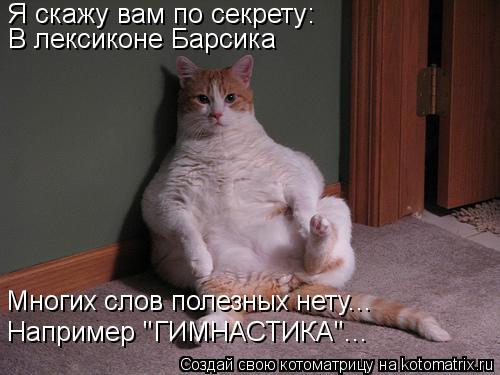Я скажу вам по секрету: В лексиконе Барсика Многих слов полезных нету... Например "ГИМНАСТИКА"...... Котоматрица: Я скажу вам по секрету: В лексиконе Барсика Многих слов полезных нету... Например "ГИМНАСТИКА"...