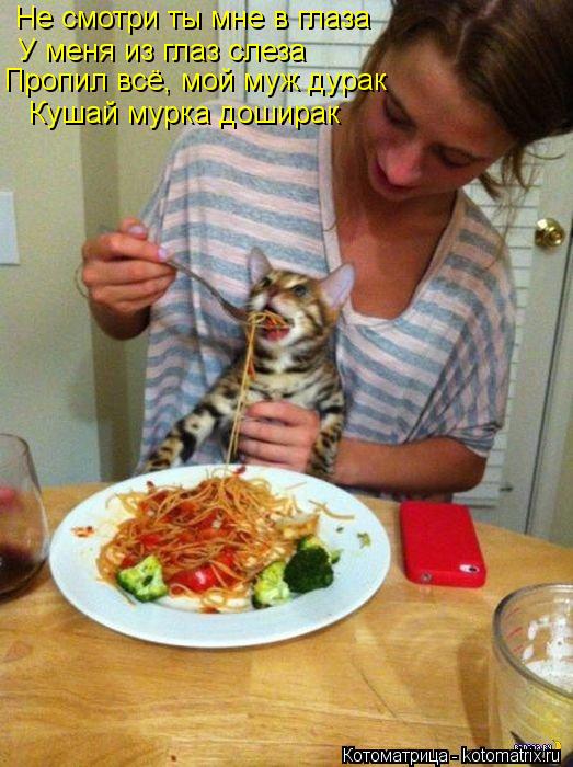 Не смотри ты мне в глаза У меня из глаз слеза Пропил всё, мой муж дурак Кушай мурка доширак... Котоматрица: Не смотри ты мне в глаза У меня из глаз слеза Пропил всё, мой муж дурак Кушай мурка доширак