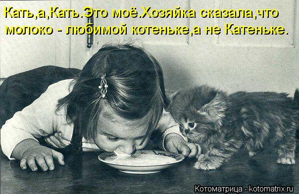 Котоматрица: Кать,а,Кать.Это моё.Хозяйка сказала,что молоко - любимой котеньке,а не Катеньке.