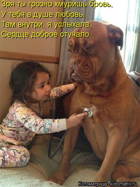 Котоматрица: Зря ты грозно хмуришь бровь, У тебя в душе любовь. Там внутри, я услыхала,  Сердце доброе стучало.