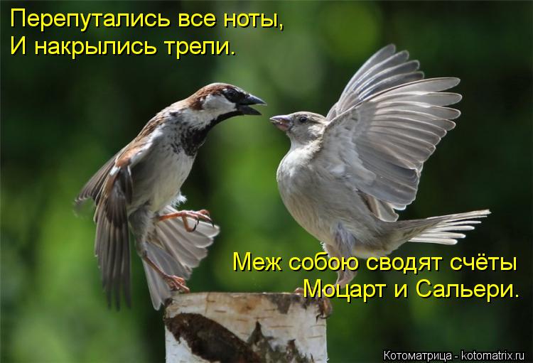 Перепутались все ноты, И накрылись трели. Меж собою сводят счёты Моцарт и Сальери.... Котоматрица: Перепутались все ноты, И накрылись трели. Меж собою сводят счёты Моцарт и Сальери.
