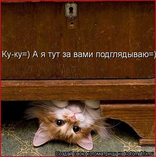 Котоматрица: Ку-ку=) А я тут за вами подглядываю=)