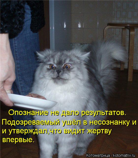 Котоматрица: Опознание не дало результатов. Подозреваемый ушёл в несознанку и  и утверждал,что видит жертву  впервые.