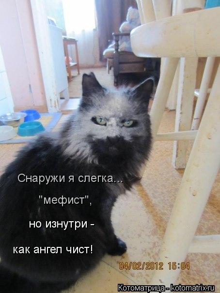 "мефист", как ангел чист! но изнутри - Снаружи я слегка...... Котоматрица: "мефист", как ангел чист! но изнутри - Снаружи я слегка...