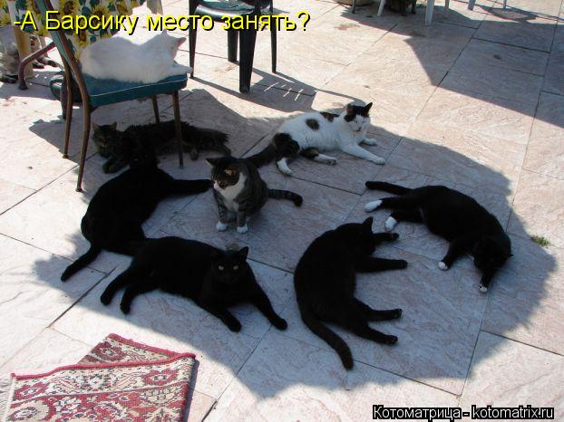-А Барсику место занять?... Котоматрица: -А Барсику место занять?