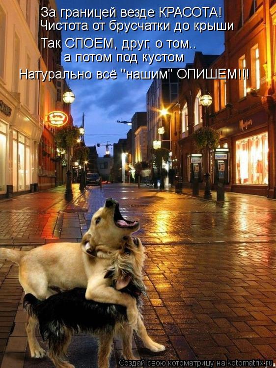 Котоматрица: За границей везде КРАСОТА! Чистота от брусчатки до крыши Так СПОЕМ, друг, о том.. а потом под кустом Натурально всё "нашим" ОПИШЕМ!!!