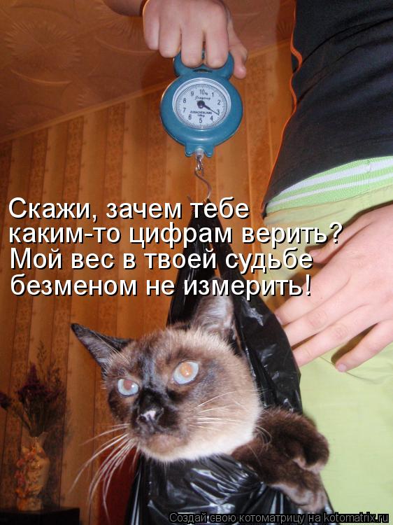 Котоматрица: Скажи, зачем тебе каким-то цифрам верить? Мой вес в твоей судьбе безменом не измерить!