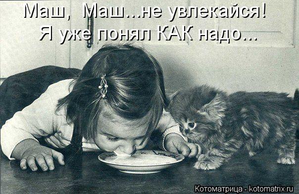 Маш, Маш...не увлекайся! Я уже понял КАК надо...... Котоматрица: Маш, Маш...не увлекайся! Я уже понял КАК надо...